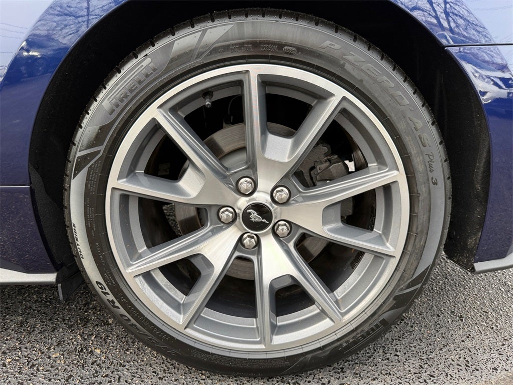 2015 Ford Mustang GT 50 Years Limited Edition