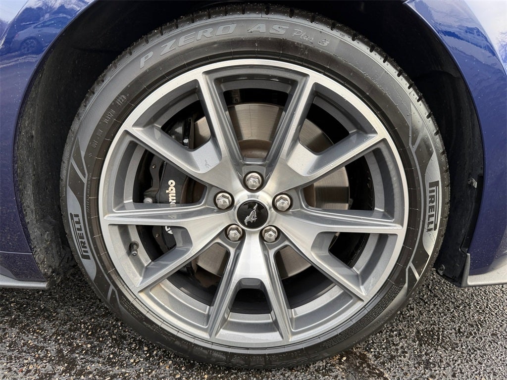 2015 Ford Mustang GT 50 Years Limited Edition