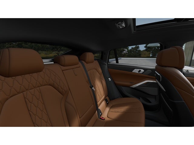 2027 BMW X6 Base