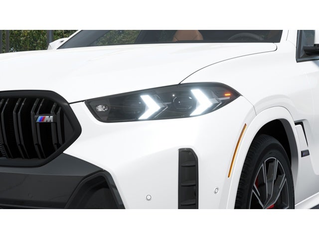 2026 BMW X6 M60i