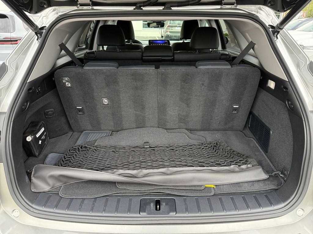 2019 Lexus RX 350L